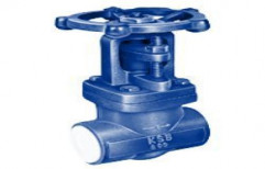 Forged Gate Valve by Wellworth Engineering Company Pvt. Ltd.