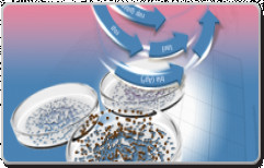 Molecular Cloning Kits by Grace Life Tech Private Limited