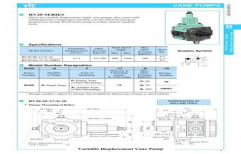 RV20-SF-17-C-10 Variable Vane Pump (yuken) by J. S. D. Engineering Products