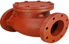 Cast Iron Check Valve by Dhanapal Foundry