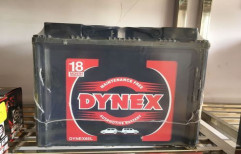 DYNEX Auto Battries by Salasar Battery House