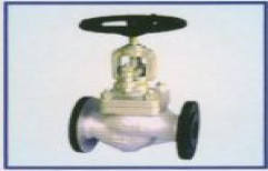 Globe valve by Care Therm Industries