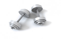 Iron Fitness Weights by Ferro Tech India
