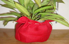 Jute Grow Bags by Indarsen Shamlal Private Limited