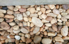 Pebbles by Cochin Granite International