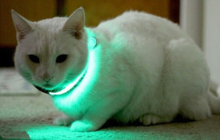 Pet Neck Belt with LED Lights by Evergrow International