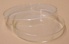 Petri Dish, 100 mm, Borosilicate Glass by Surinder And Company
