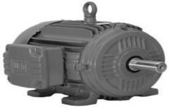 TEFC Motor by Industrial Pumps & Motors Agencies