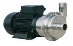 Tiny Domestic Monoblock Pumps by Viking Industries
