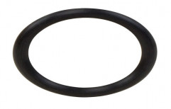 Viton O Ring by Indian High Vacuum Pumps