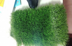 Artificial Grasses by Aeon Connexions