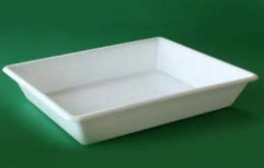 Disposable Tray by Mangalam Industrial Combines