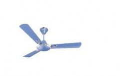 Festiva Ceiling Fans by Vijayanand Electricals
