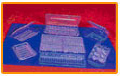 Fruit Trays Transparent by Mangalam Industrial Combines