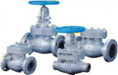 Gate, Globe & Check Valves by Vamaja Engineering Private Limited