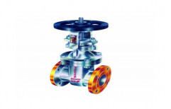 Gate Valves by MGMT Tools & Hardware Pvt Ltd