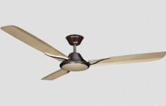 Havells Spartz Decorative Ceiling Fan by Dashmesh Hardware Store