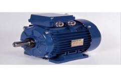 Industrial Three Phase Motor by Pee Kay Electrical Works