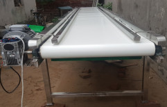 Inspection Conveyor by Packaging Solution