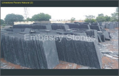 Limestone Pavers Natural by Embassy Stones Private Limited