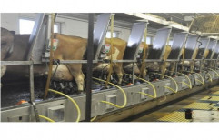 Milking Parlor Cubicles by Krishna Allied Industries Private Limited