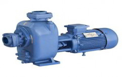 Monoblock Dewatering Pump by P. S. Electricals & Enterprises