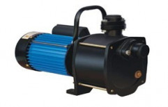 Shallow Well Pump by Aston Pumps