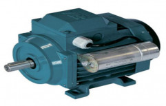 Single Phase Motors by Phoenix Processes Pvt Ltd