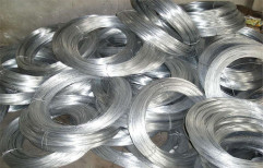 Stainless Steel Wire by Pankh Stainless (India)