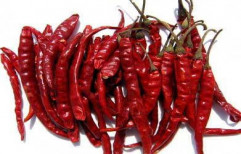 Teja Dry Red Chilli by Krison Exports
