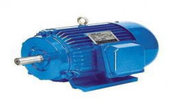 Three Phase Induction Motor by Pee Kay Electrical Works