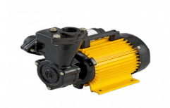 Self Priming Monoblock Pump by Swaraj Electricals