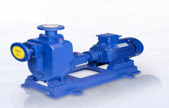 Water Self Priming Centrifugal Pump by Everest Electrical