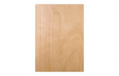 GreenPly Unfinished Flush Door