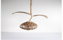 Hanging Coconut Lamp by Nirmitee Art Connoisseurs