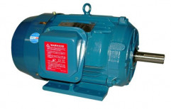 Energy Efficient Squirrel Cage TEFC Motors by Power Drives Enterprises India Private Limited