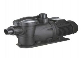 Swimming Pool Pumps by LEO PUMPS INDIA