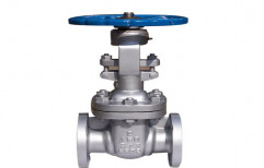 Gate Valve by Sri Ganapathy Engineering Works