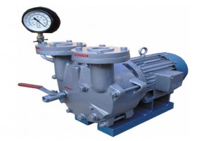 Standard Promivac Double Stage Water Ring Vacuum Pump by Shivpumps & Equipments