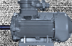Standard Squirrel Cage TEFC Motors by Power Drives Enterprises India Private Limited