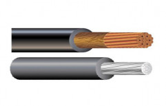 Insulated Single Core Cable by Syntron Electricals Private Limited
