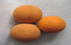 Condenser Cleaning Sponge Ball by Vulcan Industries