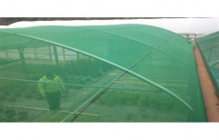 Greenhouse Shading by Agriculture World