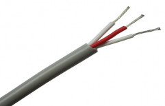 RTD Cable by Dydac Controls