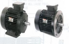 3 Phase LV Induction Motors by Technotech Marketing India Private Limited
