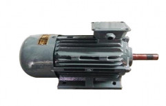 Electric Motor by Eagle Electrical & Mechanical Industries