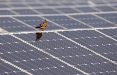 Adani Solar Panel by Solaris Energy