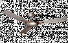 Ceiling Fans by Saaliha Tiles Park