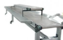 Packing Conveyor by Wilson Engineering