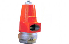 Pressure Relief Valve by Hira Agro Services